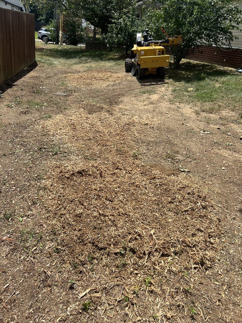 Murfreesboro stump grinding contractor - Rooted in Grace Stump Co professional service