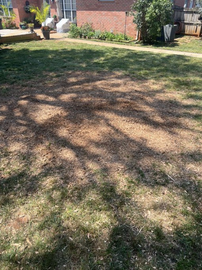 Nashville stump grinding contractor - Rooted in Grace Stump Co professional service