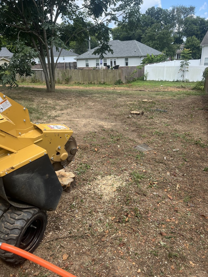 Rooted in Grace Stump Co professional stump grinding service in Middle Tennessee