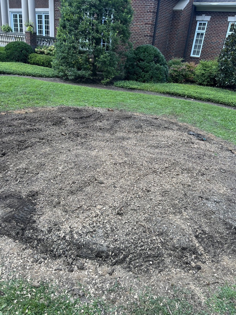 Spring Hill stump grinding contractor - Rooted in Grace Stump Co commercial stump removal service