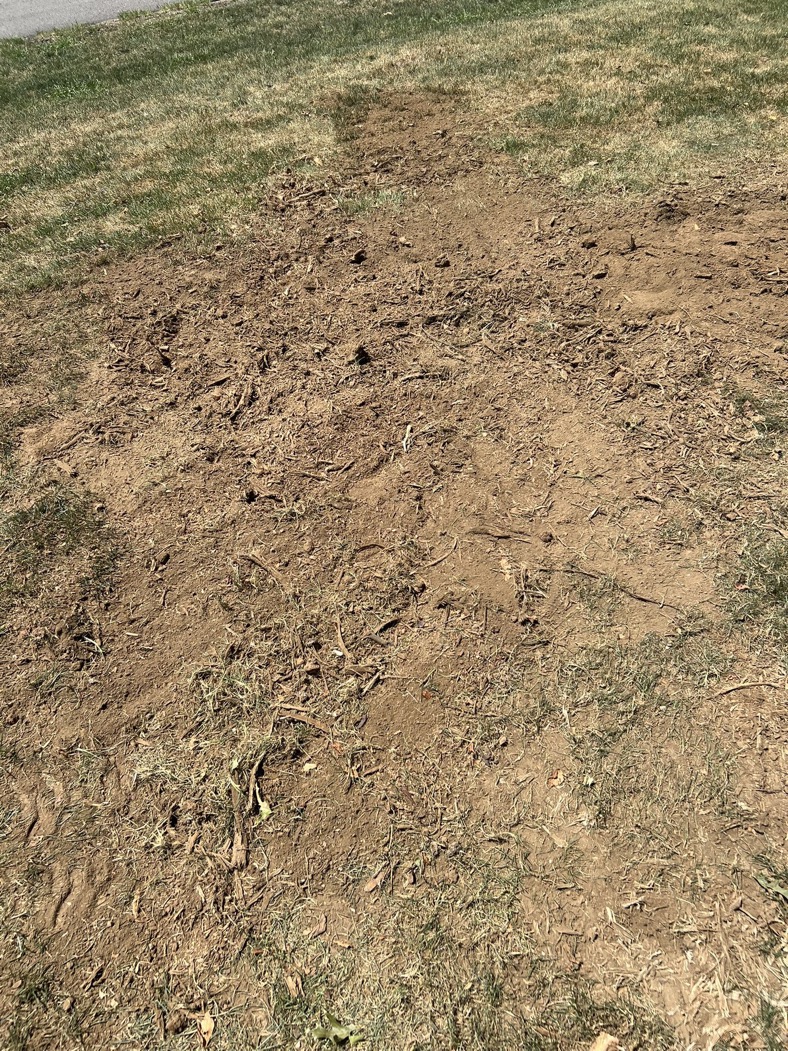 Stump grinding removal contractor Hendersonville TN Williamson County pricing