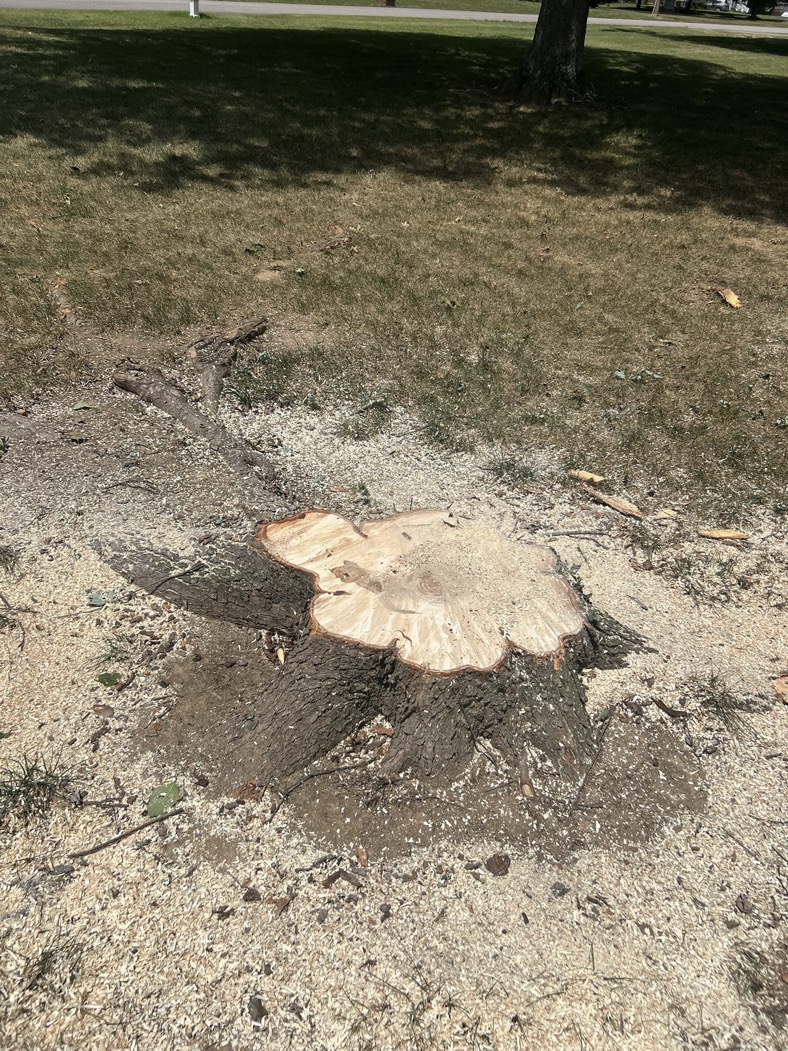 Hendersonville stump grinding service - Rooted in Grace Stump Co professional service